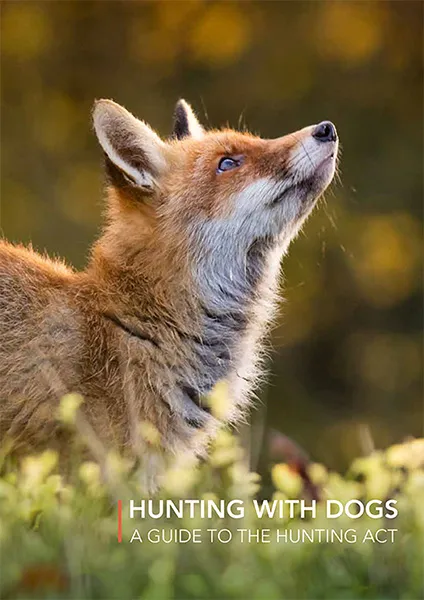Hunting With Dogs - A Guide To The Hunting Act
