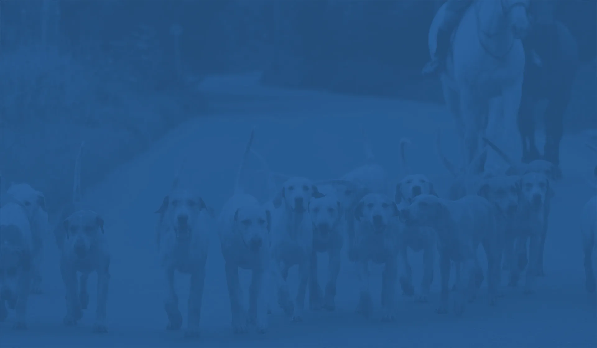 Hunting Act News